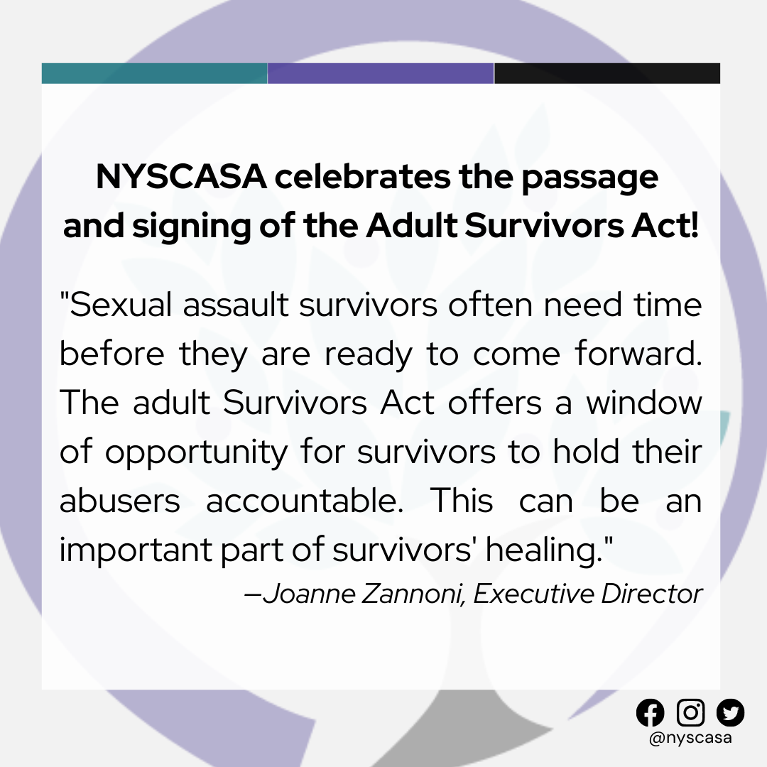 NYSCASA Statement on the Passage and Signing of the Adult Survivors Act (S66/A648)