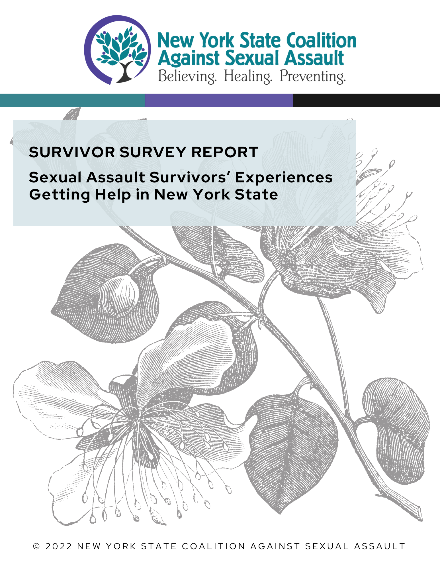 Survivor Survey Report: Sexual Assault Survivors’ Experiences Getting Help in New York State